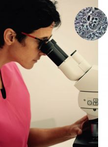 Parodontie - Soins des Gencives